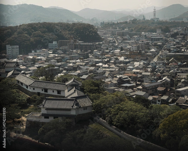 Obraz View from the top of Himeji castle 