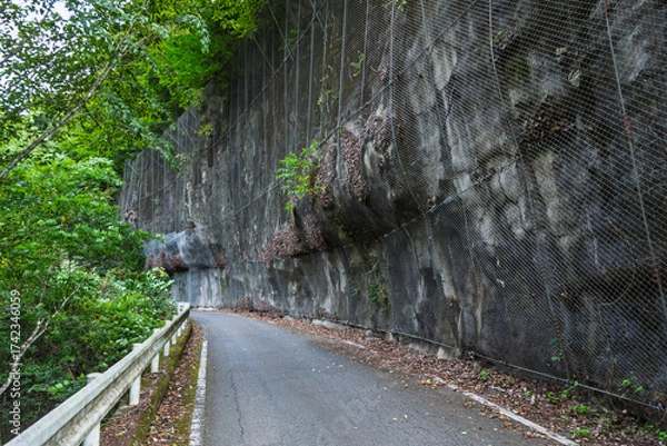 Obraz 国道299号線十石峠の群馬県側の狭い山道