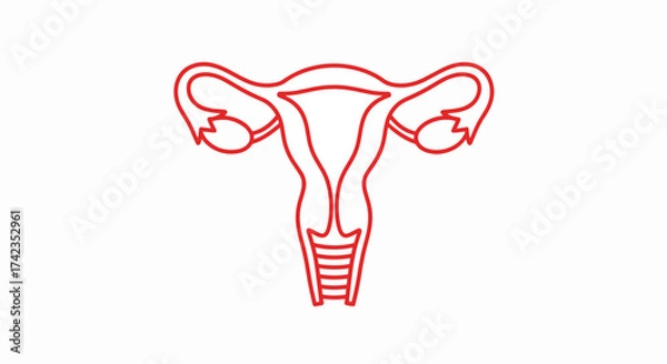 Fototapeta Red uterus and ovaries monoline icon on white background, depicting female reproductive system. Uterus and ovaries are essential to women's health.