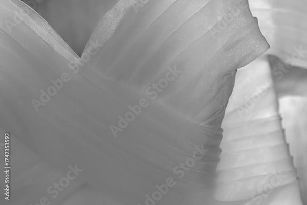 Obraz Wedding Gown Detail