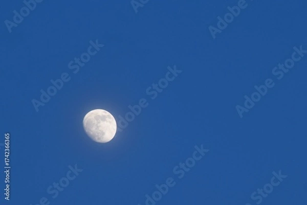 Obraz half moon floating on blue sky in twilight background 