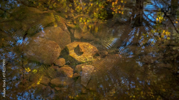 Obraz submerged rocks in stream highlighted by a sunbeam