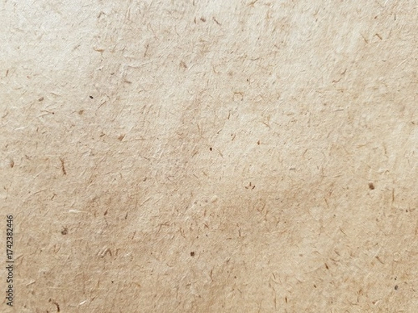 Obraz old paper texture