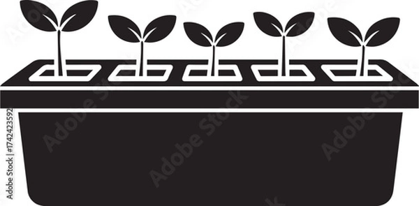 Fototapeta Iconic black silhouette of five small plant sprouts growing in a rectangular seedling tray.