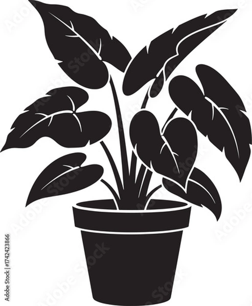 Fototapeta Stylized black silhouette of a potted houseplant featuring broad, heart-shaped leaves in a simple container.