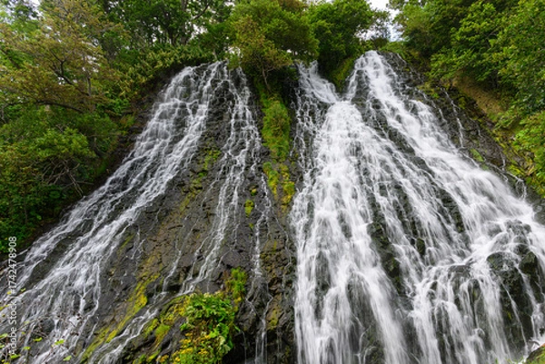 Obraz 北海道知床 オシンコシンの滝 2025年8月