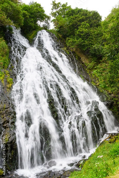 Obraz 北海道知床 オシンコシンの滝 2025年8月