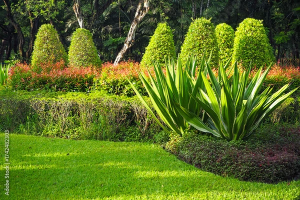 Obraz Thailand 13  October 2025 - A photo taken at Chatuchak Park where rain just fell on the trees.