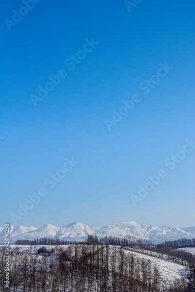 Fototapeta 噴煙が吹き出す冬山の山頂　十勝岳
