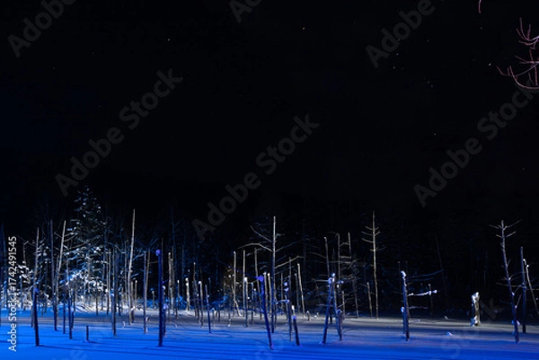 Fototapeta ライトアップされた冬の青い池とオリオン
