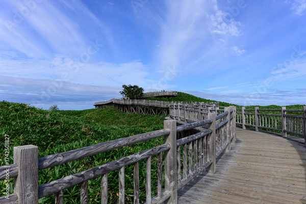 Obraz 知床五胡 高架木道 夏 2025年8月