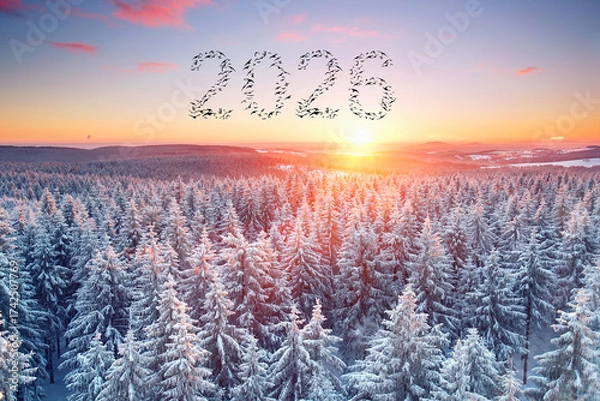 Fototapeta sunset in the snow covered mountain forest with flying birds in shape of 2026