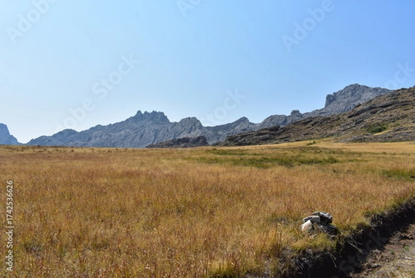 Obraz madagascar - andrigintra