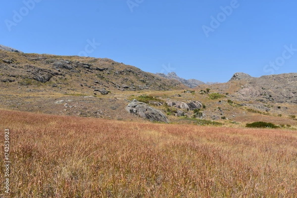 Obraz madagascar - andrigintra