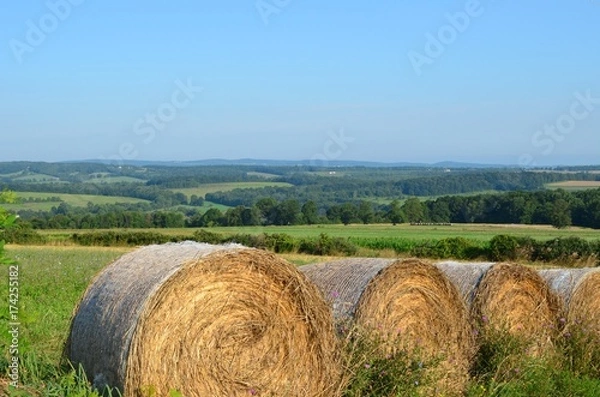 Obraz Hay bales in the field on the farms and hills of upstate New York in summer