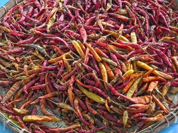 Fototapeta Close up of  large, assorted pile of dried chili peppers spread out on a traditional woven tray or basket, suggesting an outdoor drying process or market display.