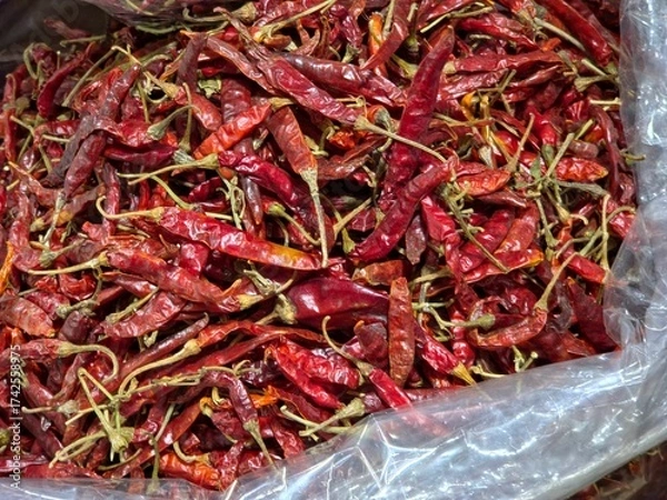Fototapeta a large, dense pile of dried red chili peppers, likely contained within a clear plastic bag 