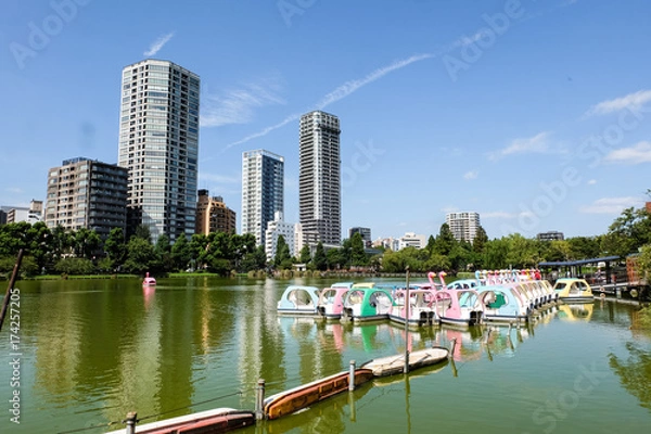 Obraz Lac du parc de Ueno, Tokyo, Japon
