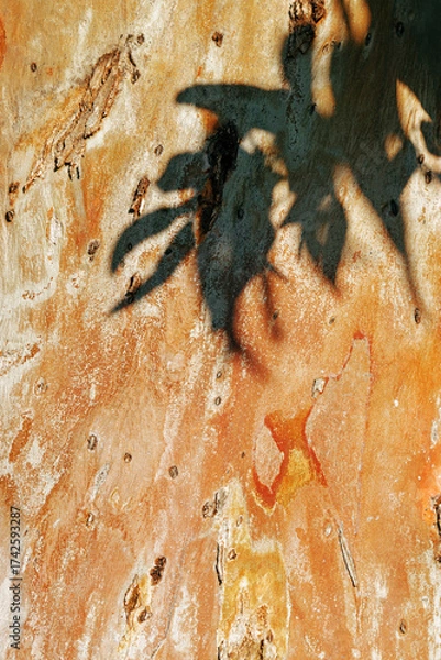 Fototapeta Closeup of tree bark texture background, natural wood pattern and rough grainy wooden orange color surface with green leaves shadow, macro photo nature design, minimal botanical summer still life