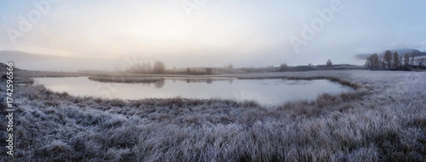 Fototapeta Frost on the grass. A vast swamp against the mountains.