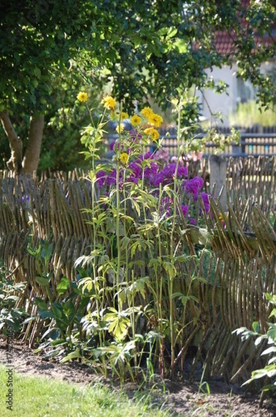 Obraz Bauerngarten mit Sommerblumen