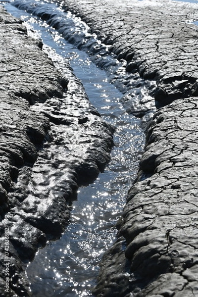 Fototapeta Nordseeschlick bei Ebbe
