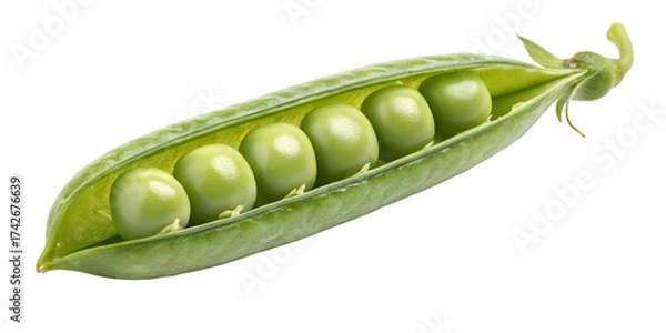 Fototapeta Close up of fresh green peas in a pod against a black background vegetable