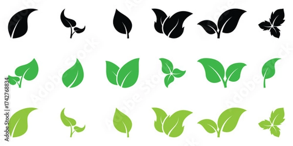 Fototapeta Black and green leaf icon set on white background. Vector isolated leaf icons. Nature leaf icon set. Green leaf icons set.