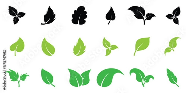 Fototapeta Black and green leaf icon set on white background. Vector isolated leaf icons. Nature leaf icon set. Green leaf icons set.