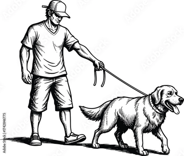 Fototapeta Man in baseball cap walking a golden retriever dog on a leash vector