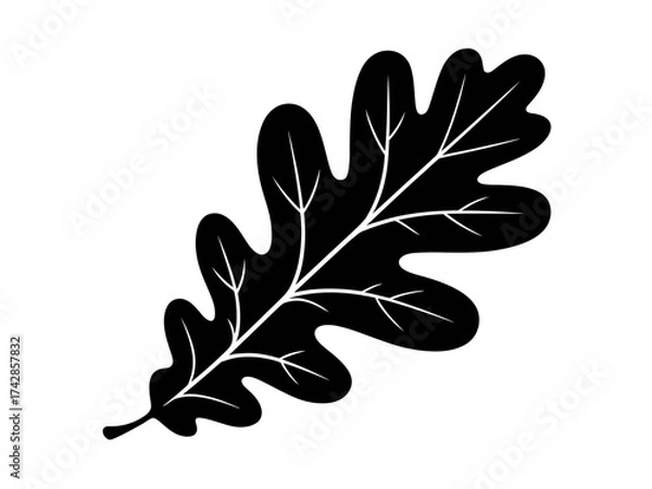 Fototapeta Vector art of silhouette of an oak leaf, showcasing its distinct shape and venation