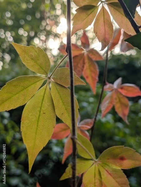Obraz Das ist mir zu bunt