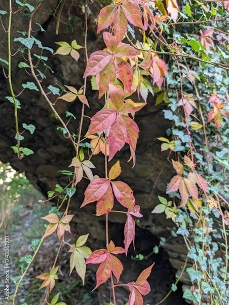 Obraz Girlande im Garten