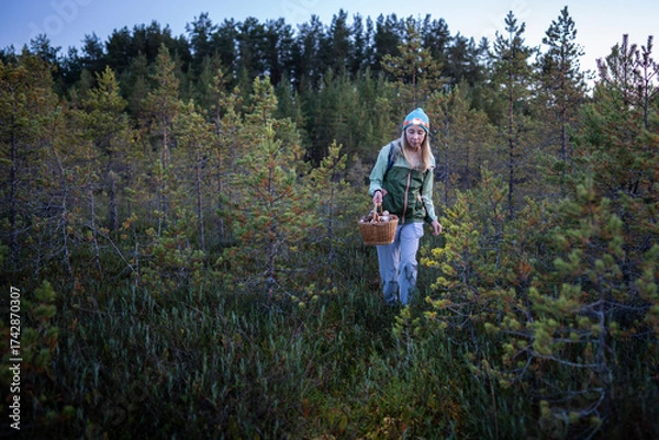 Fototapeta Woman forager searching for wild mushrooms in dim woodland using light on fall season. Solo path in woods, backpacker forest stroll, food sourcing, independent trekker, wilderness self sufficiency