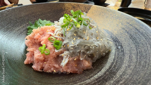 Fototapeta 新鮮な生しらすとマグロねぎトロ丼