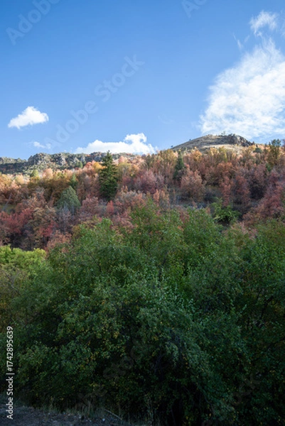 Obraz Wyoming Landscape