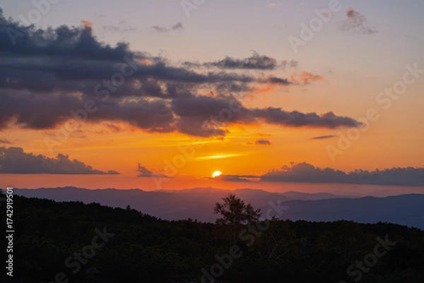 Fototapeta 十勝岳望岳台から見た富良野方面に沈む夕日（北海道）