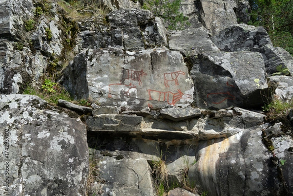 Fototapeta Ancient Elk Petroglyphs Carved into Stone in Drotten Norway