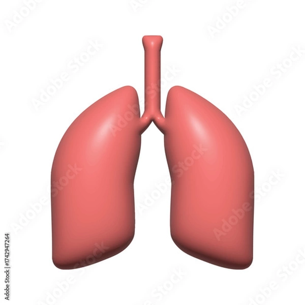 Fototapeta Lungs 3d - human internal organ Vector Icon Design Template. Render 3d Human lungs. Sars disease, coronaviruses in the lung. The coronavirus causes the severe illness SARS. Pulmonary hypertension.