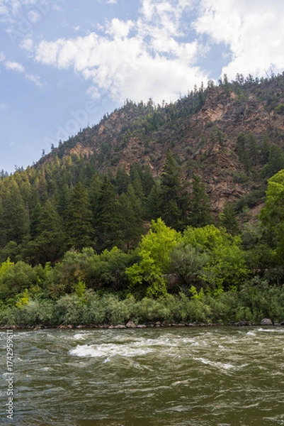 Obraz river in the mountains