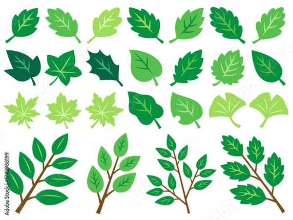 Fototapeta 色々な緑の葉っぱと枝のイラストセット