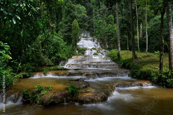Obraz waterfall in green forest