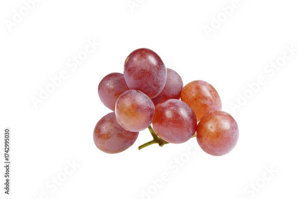 Fototapeta Grapes are very fresh on a white background.