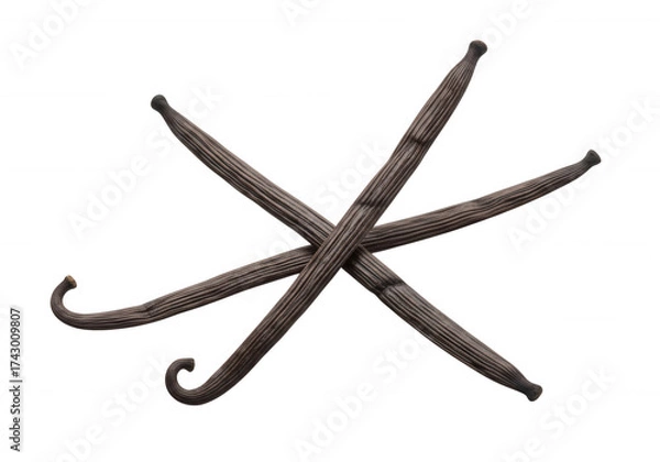 Obraz Dried vanilla pods crossed isolated on a transparent background