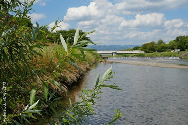 Fototapeta 川辺から見える風景