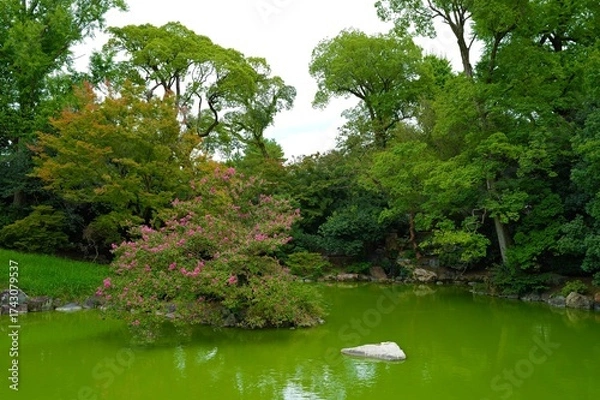 Obraz 日本庭園の池の風景