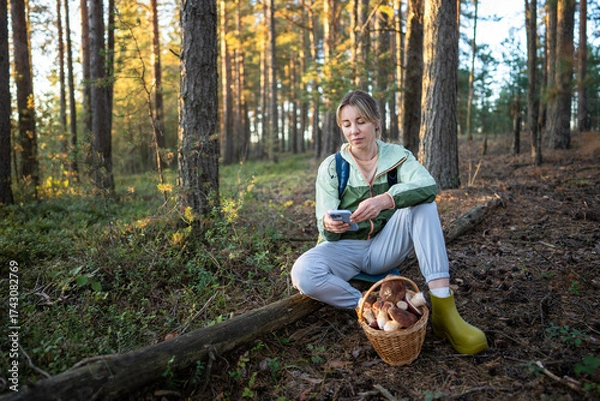 Fototapeta Engaged female forager photographing mushrooms in basket with smartphone on forest clearing. Woman nature enthusiast publishing photos, travel blogging, checking GPS in nature after fungus hunt