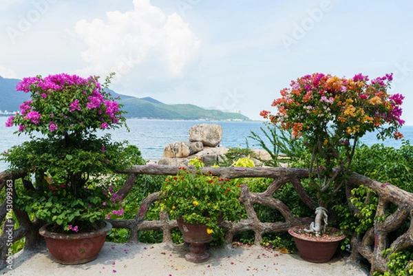 Obraz korea, 여행, 가을, 꽃, 가을정취, 남한강