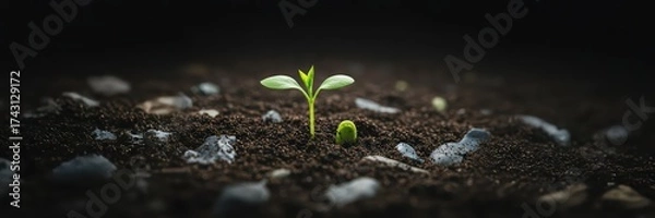 Obraz Two small seedlings growing from dark soil surrounded by microplastic and trash. Contaminated soil. Environmental pollution. Minimal pollution and environmental protection concept.