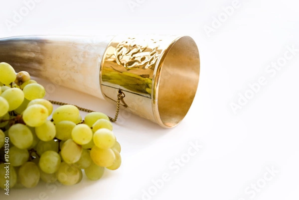 Obraz róg i winorośl